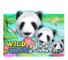wgp